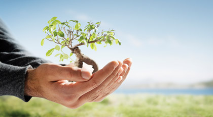 John McKeown - Personal Development